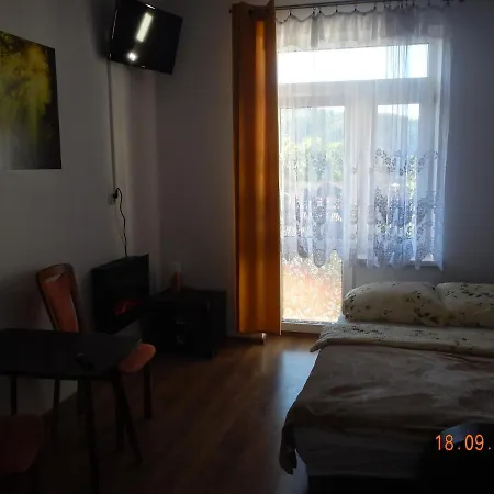 Providentia Witkiewicza 3 Apartament Zakopane